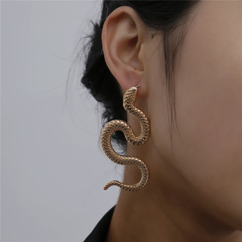 

Snake Earrings Women Long Dangle Trendy Earrings, As the picture shown