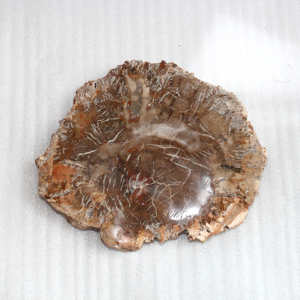 天然木材化石切片抛光水晶板石化木板装饰