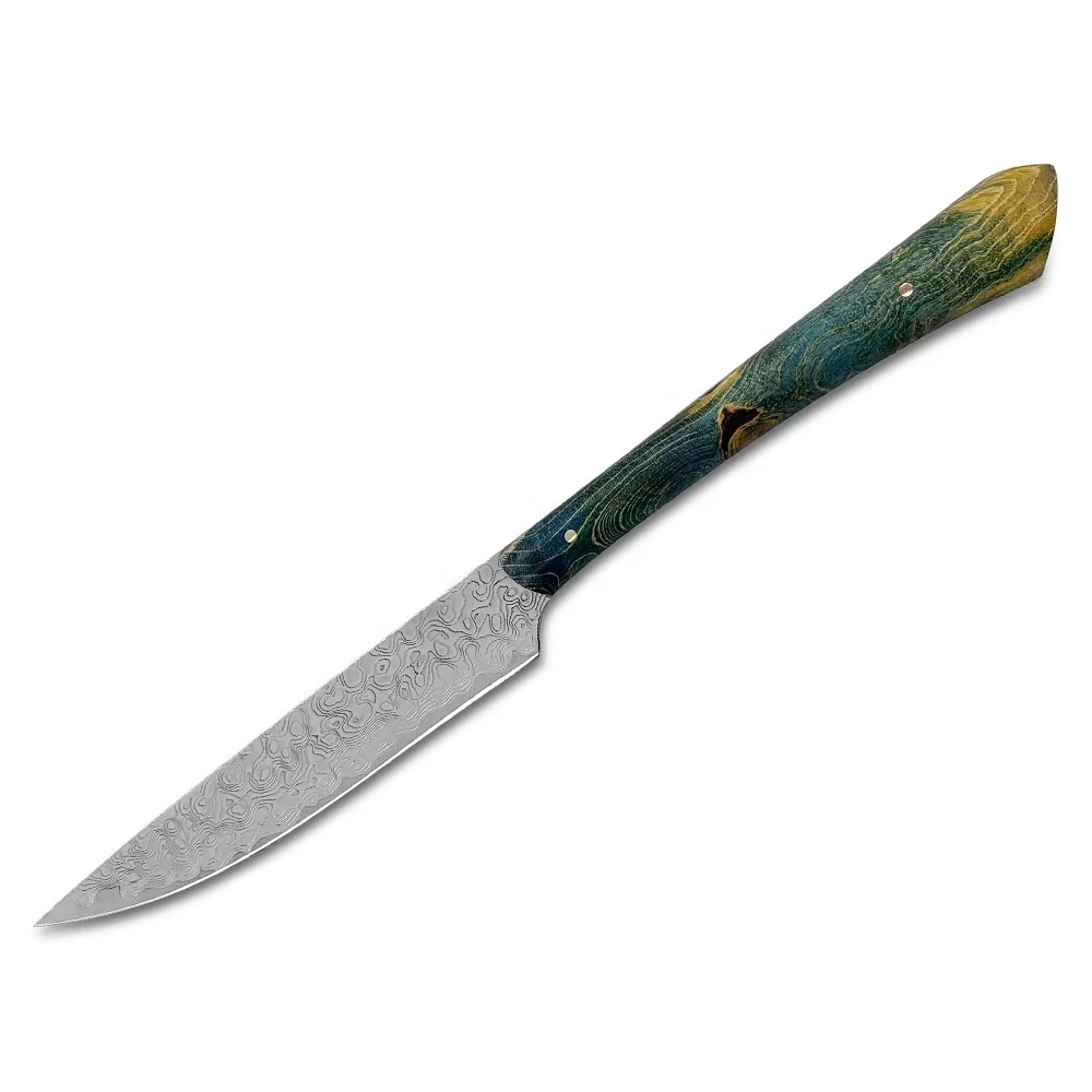 

Luxury Meat Knife Vegetable Peeling Potato Grater 4 Inch Paring Knife Wood Handle Small Damascus Kitchen Knife