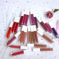 

23 Colors Vegan Liquid Matte Velvet Custom Clear Lipstick Private Label Tube