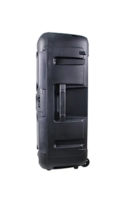 big power double 12 inch BT audio outdoor battery speaker - ANKUX.COM