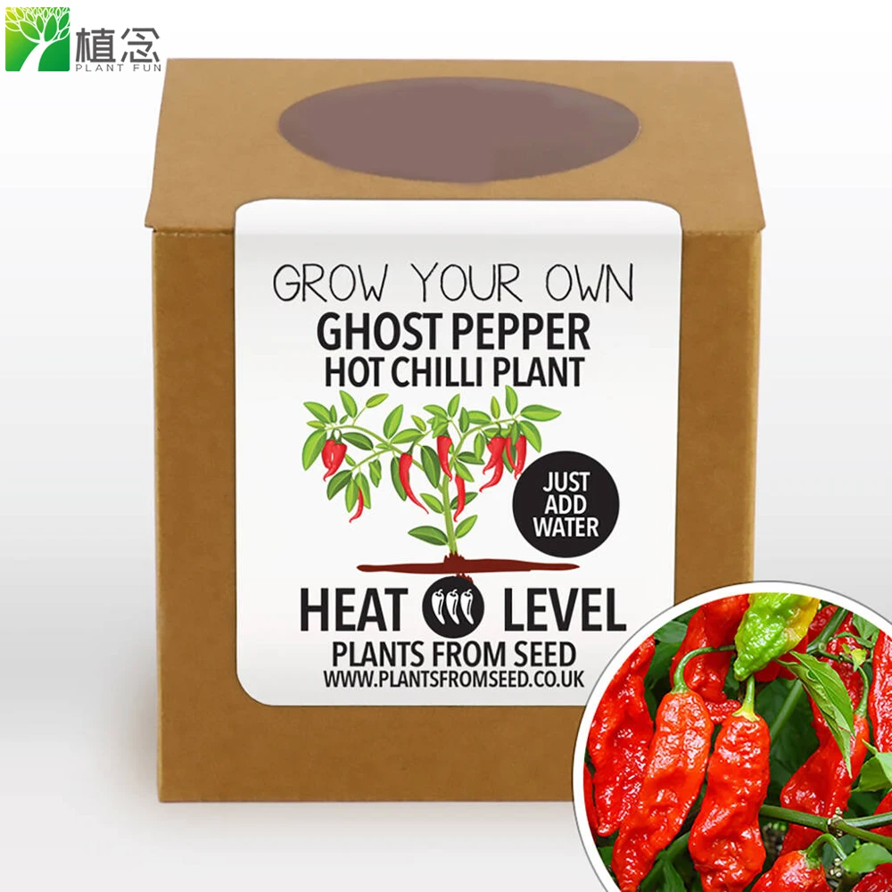 

Amazon Wish Ebay Complete Grow Your Own Ghost Pepper Chilli Seed Kit