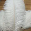 IFG 45-50 cm factory directly artificial white ostrich feathers for wedding decoration