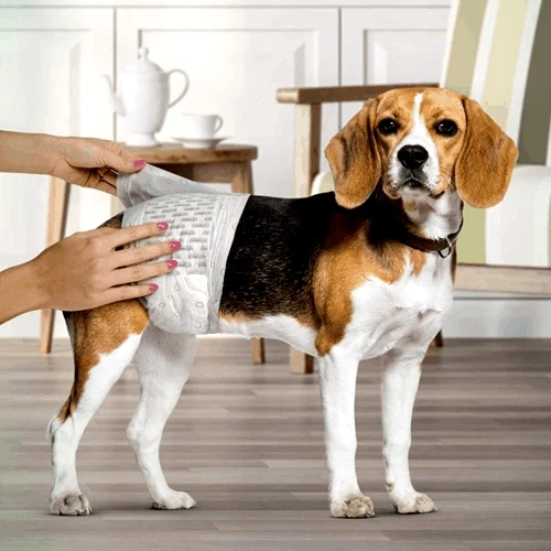 

Disposable Male Dog Diapers Pet Cleaning Supplies wharney, Customized