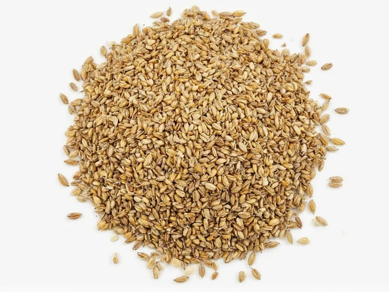 Best Substitutes for Caraway Seeds: Practical Guide