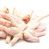 /product-detail/high-quality-a-grade-chicken-feet-wings-and-legs-62353939319.html