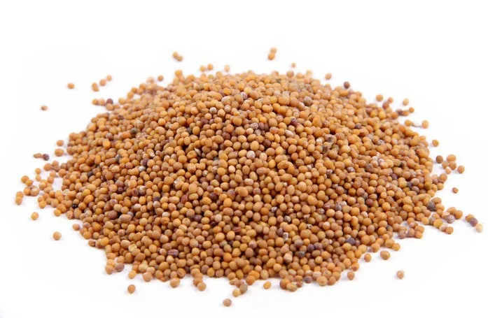 supply organic 20:1 white mustard extract powder in bulk