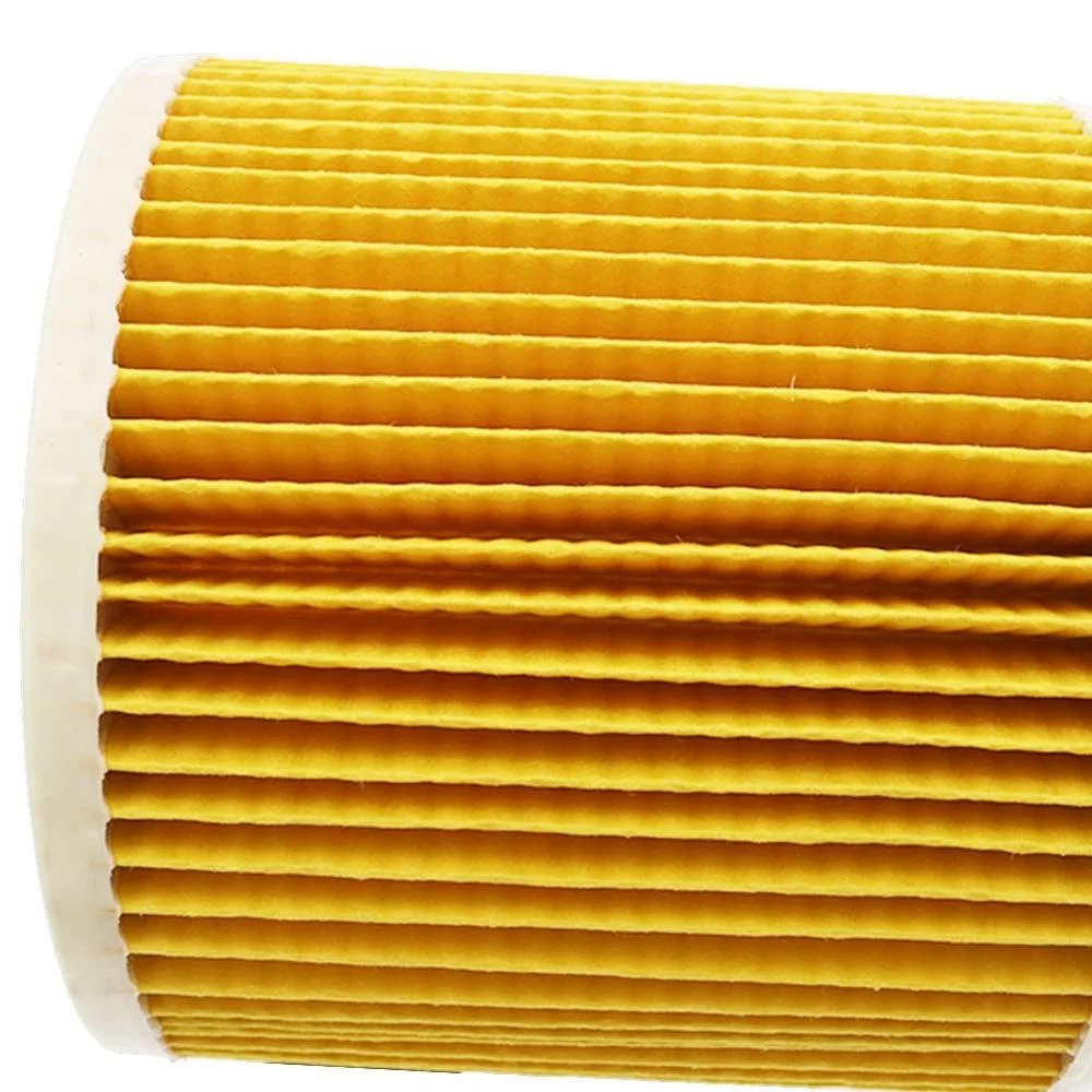 China Supplier Wet &dry Wd2 Wd3.500 Vacuum Cleaner Filter Plus 5 Dust
