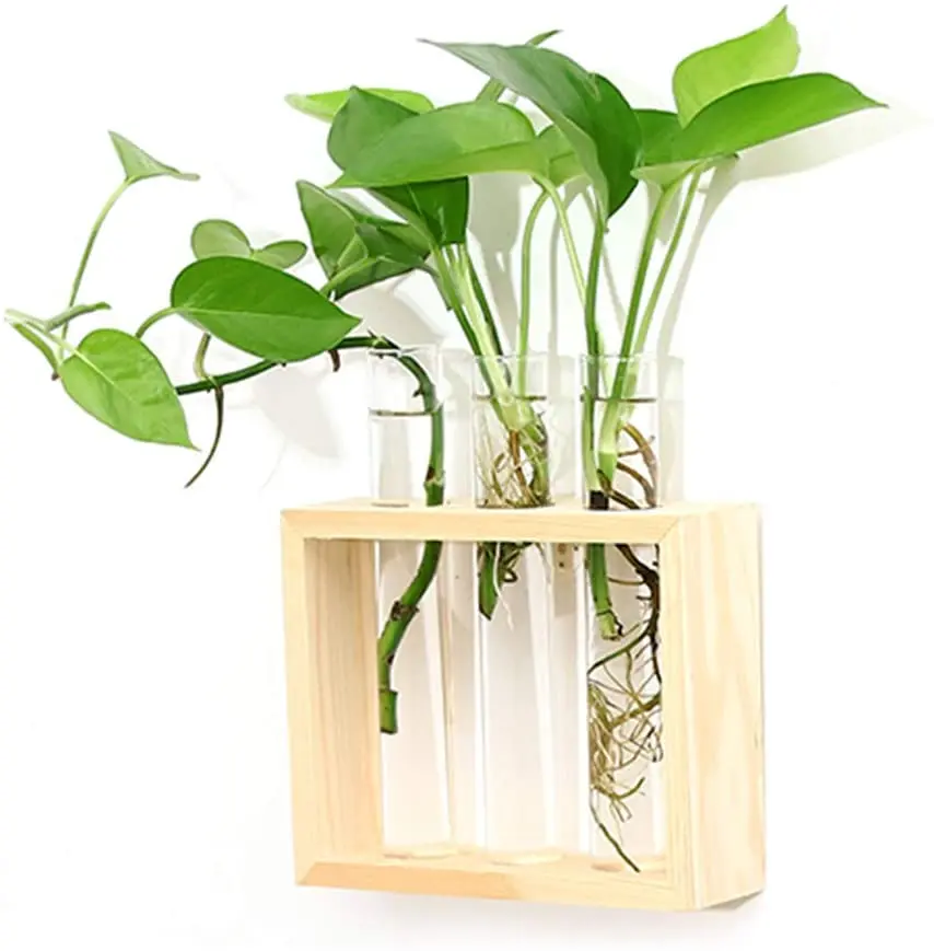 

Wall Hanging Glass Planter Test Tube Vase Flower Pots with 3 Tabletop Terrarium, Customized color