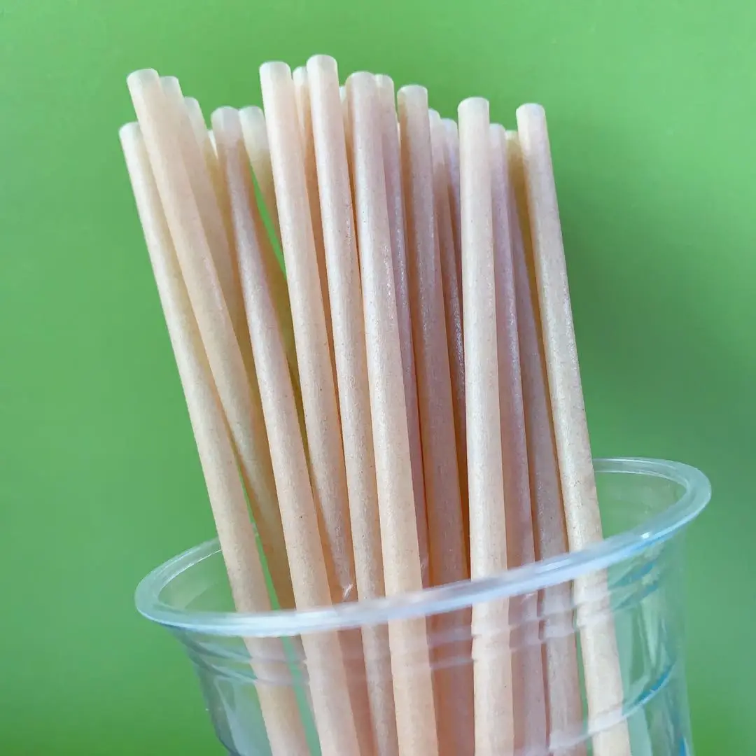 

Naturepoly Eco-friendly Biodegradable PLA Straw for drinking, Natural color