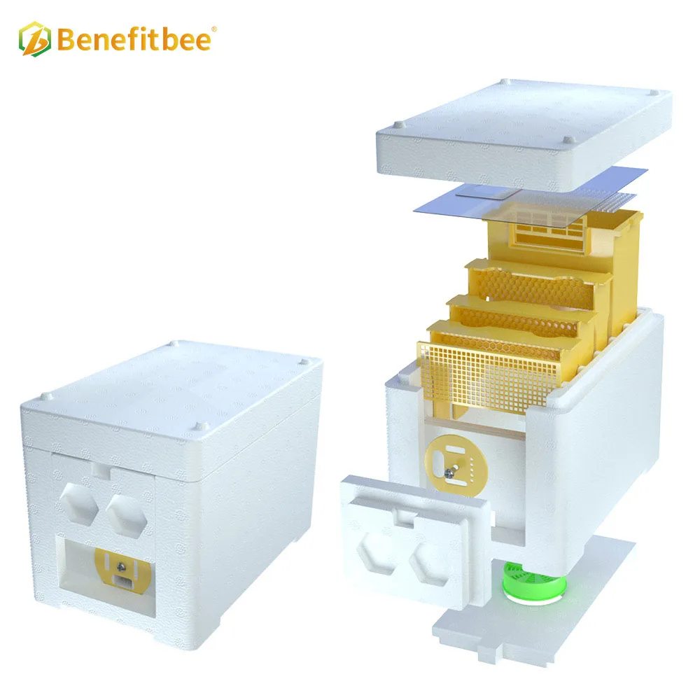 Nuc Box Bee Queen Mating Box Queen Bee Mini Beehive Box