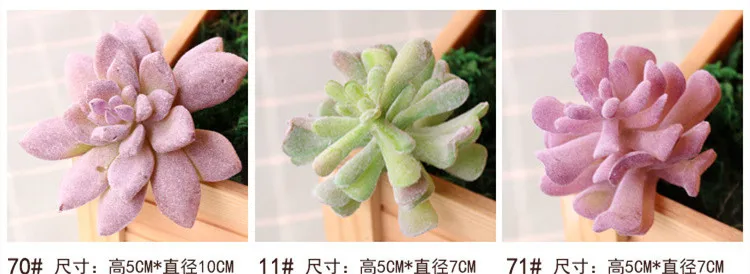 succulents (20).jpg