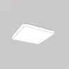 Chiina supplier Zhongshan factory types of false ceiling materials ceilings finishes
