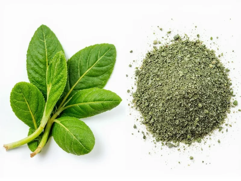 Fresh Sage vs Ground Sage: When to Use Each Form