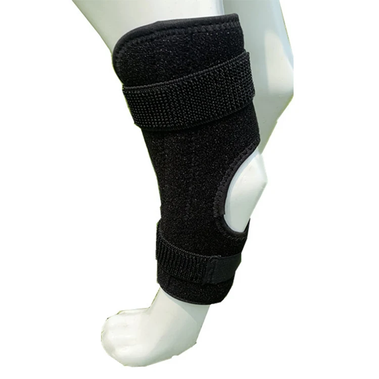 

Dog Sport Wrap Front Back Legs Warmers Dog Leg Brace, Black,red,blue