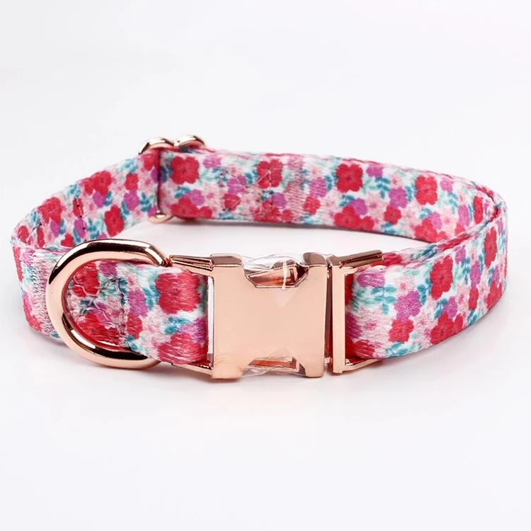 Pet Collar-4