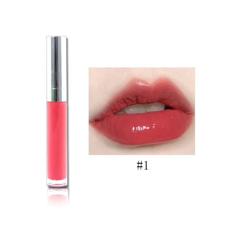 

High Quality and Unique Natural No Name No Logo Private Label OEM Waterproof glossy shiny lipgloss, 5 color