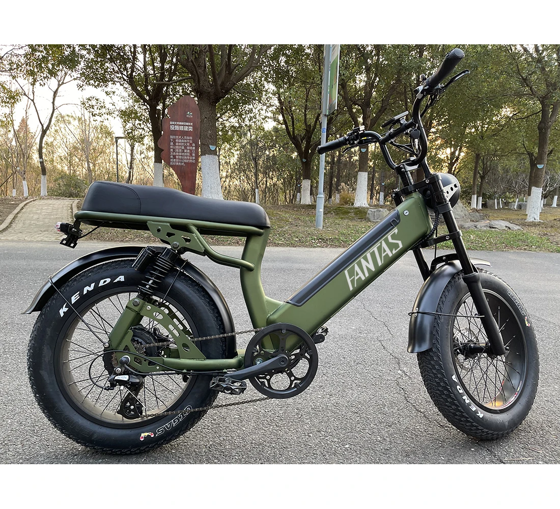 

2022 new Domino 20inches fat tires e-bike snow beach electric bicycle battery hidden, Black/white/army green/customized