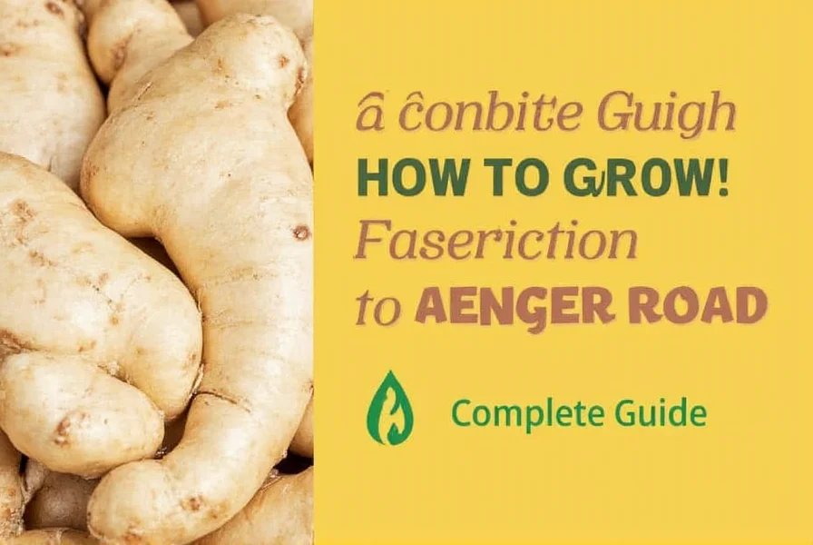 how to grow ginger from ginger