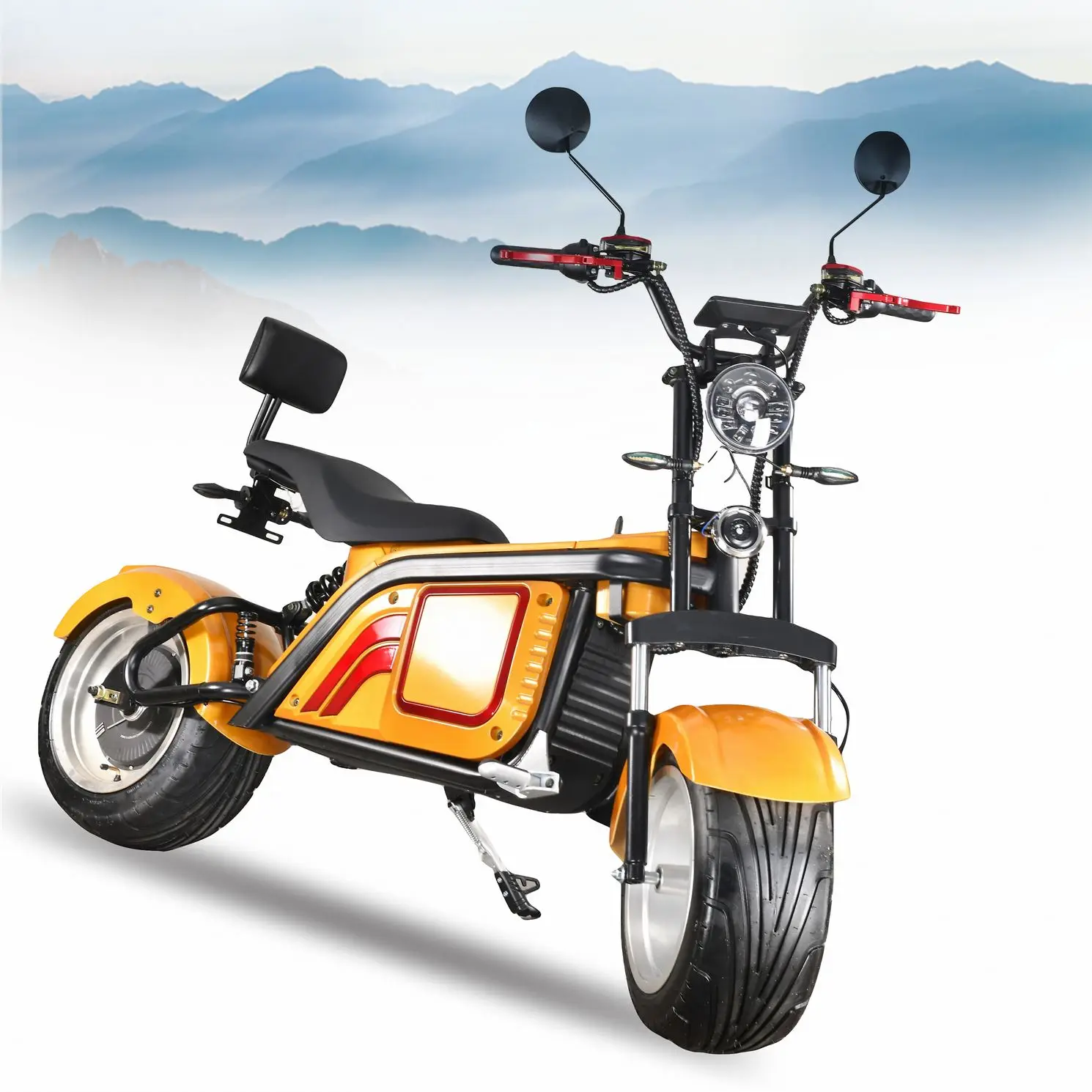 

Two Wheel Self Balancing Coco City 2000W With Removable Lithium Battery