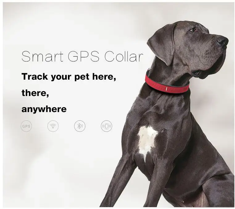 

cheap real-time mini gps pet tracker for dogs/cats/animals, dog Pet gps tracker cat smallest gps pet tracking