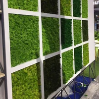 

Home decoration accessories panel artificial moss wall