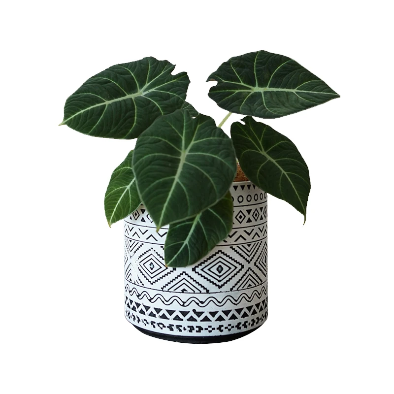 

Modern Design Cylinder Shape Cement Planter Pot with Drain Hole for Home Garden Decor Elegance White Plant Support Round Shape