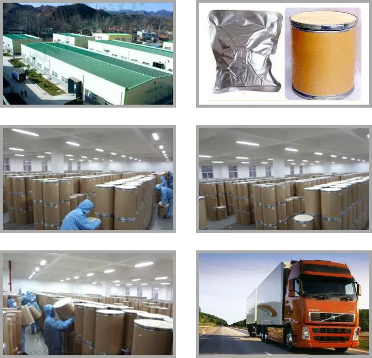 
CAS 50847-11-5 Allergic Reactions Powder Ibudilast 