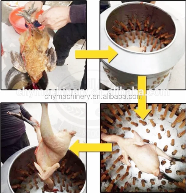 Chicken Plucker 2.png