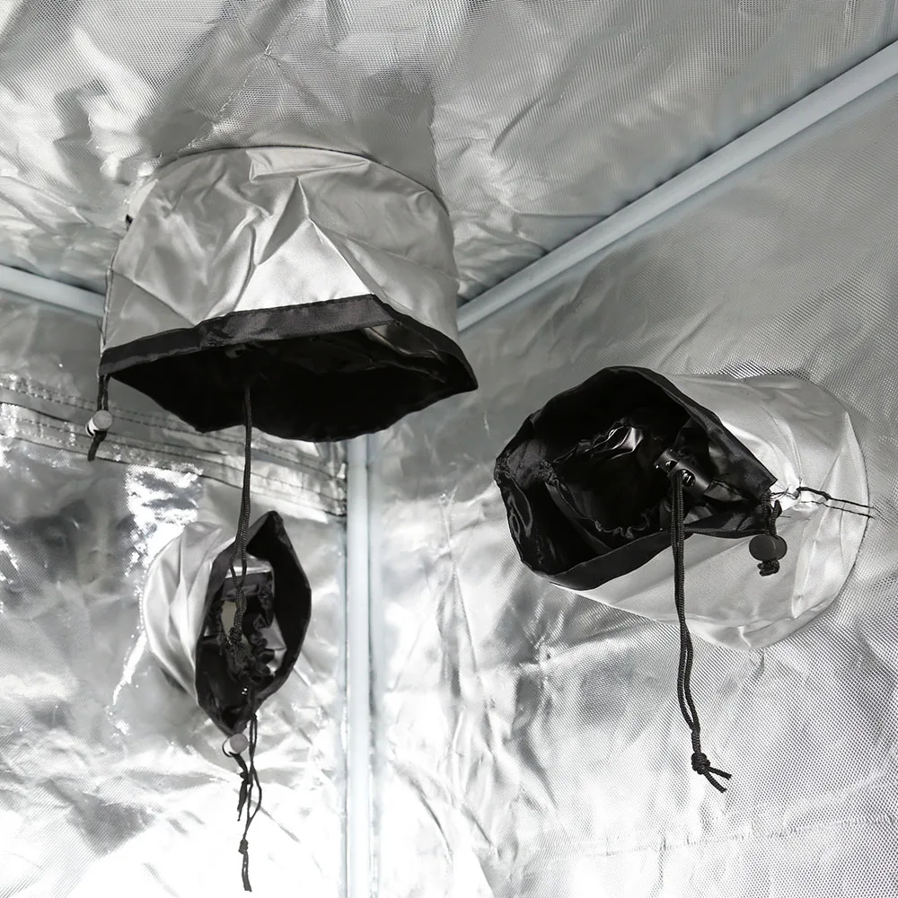 Detail 006.jpg