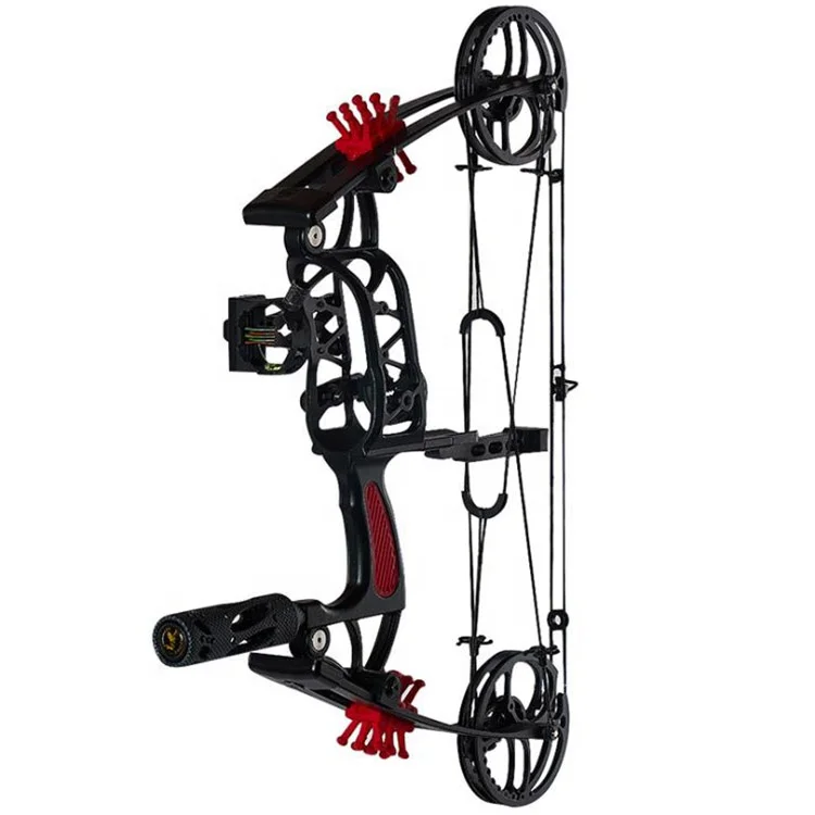 

30-55lbs Compound Bow steel ball and arrows for shooting, fishing and hunting, Black