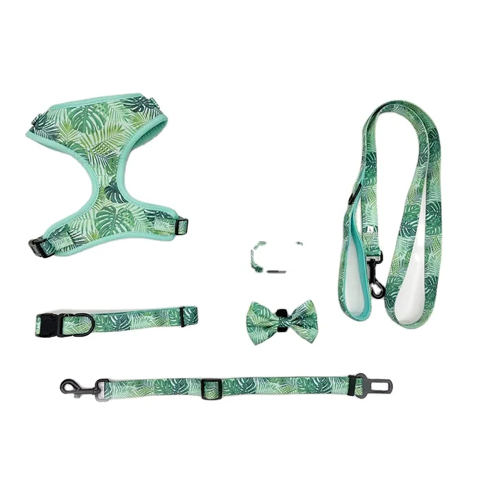 

Pet dog chest harness outdoor leash set custom to create your exclusive pet supplies with collar, Custom made