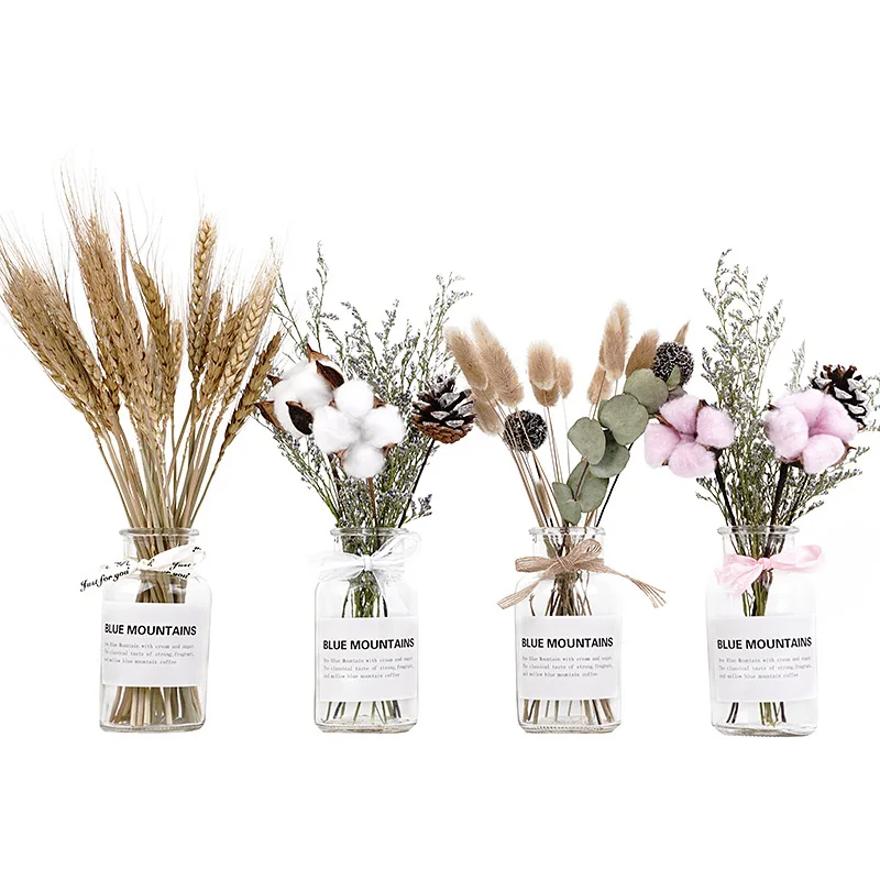 

HY Glass Vase Transparent Dried Flower Plants Vase Bottle Living Room Table Decoration Rope Dry Creative Glass Bottle