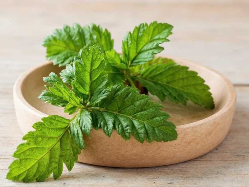 Best Oregano Substitutes: 7 Practical Cooking Alternatives