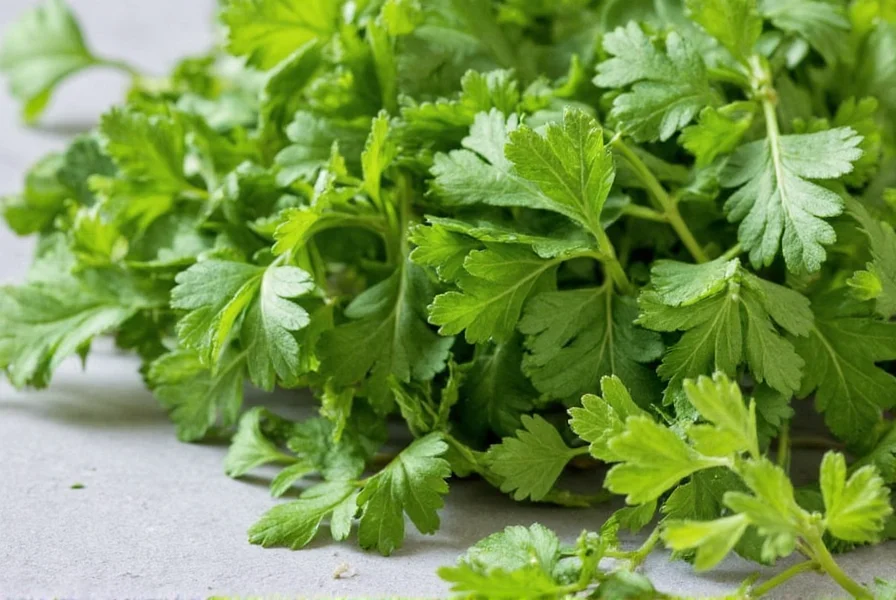 Parsley in Dehydrator