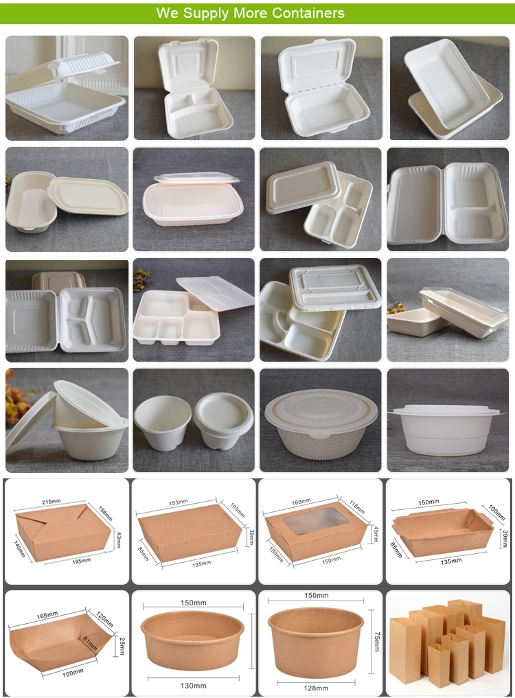 100% Biodegradable Home Compostable Eco-friendly 9*6 Inch 2 Compartments Sugarcane Bagasse Food Container