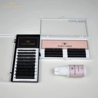 

Volume & Classic Lashes Extensions Individual Eyelashes Korean PBT Material Lash Tray Lash Box