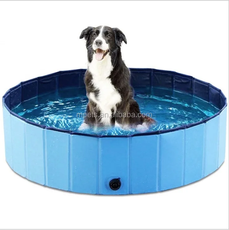 QQ20200609100817.png