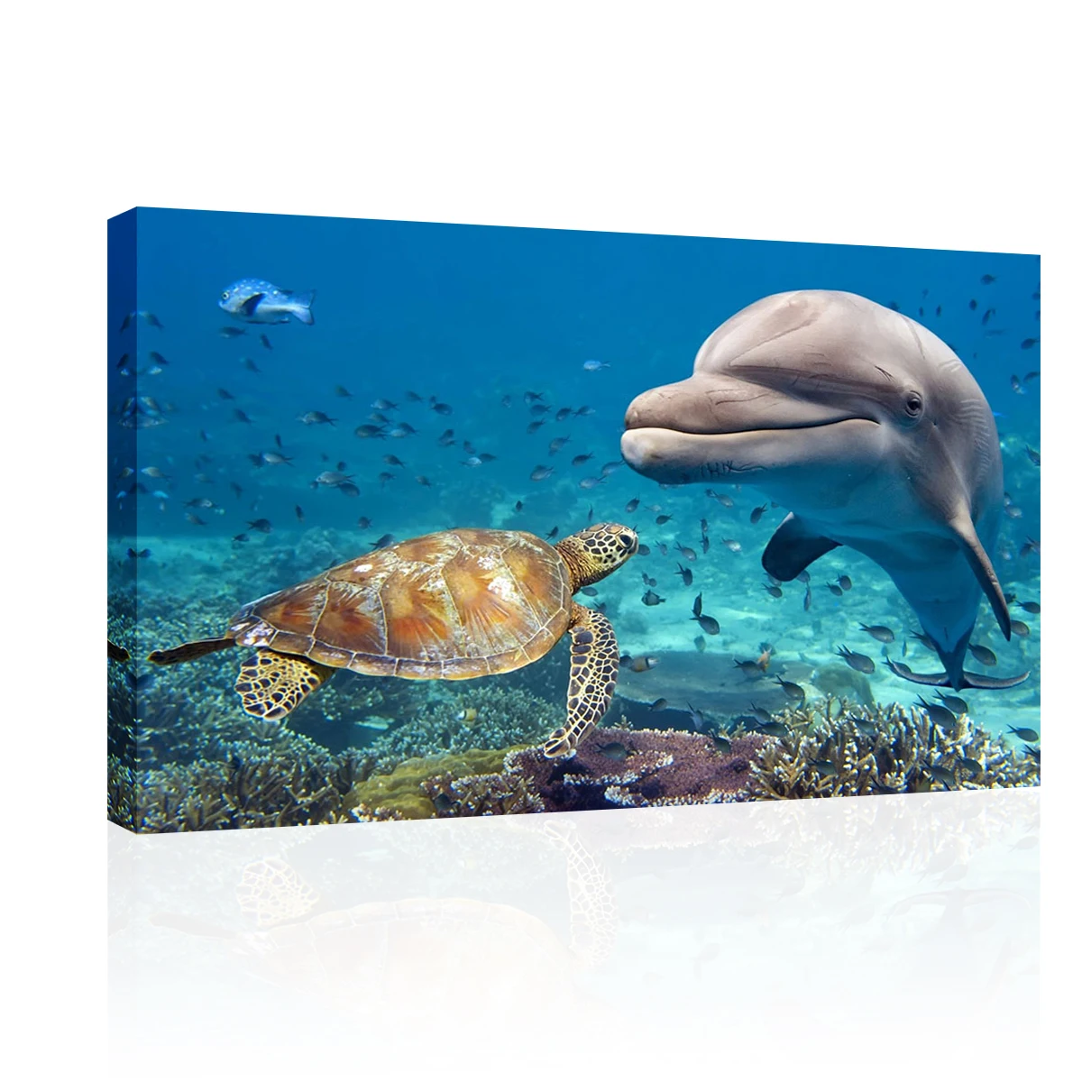 

Swimming Turtle Wall Art Ocean View Wall Decor Dolphin Canvas Prints Dolphin Wall Art for Living Room Ocean View Paintings