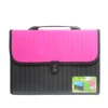 13 Grid Accordion Expanding File Folder