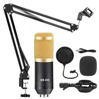 

BM 800 Condenser Mic Microphone with Shock Mount Arm Scissor Stand Pop Filter