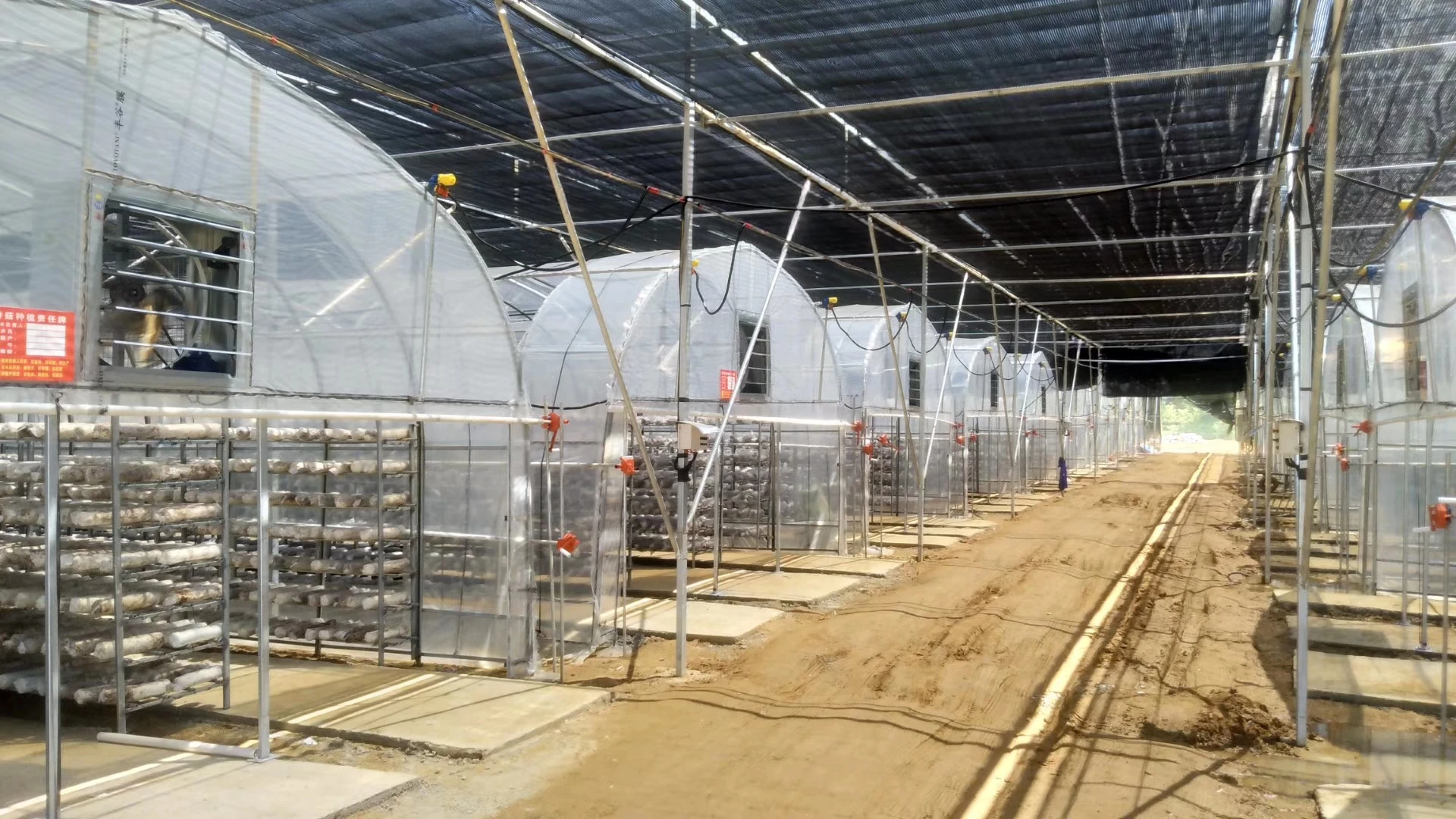 Wholesale Singlespan Plastic Shed Shading System Tunnel Mushroom