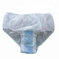 

Disposable Biodegradable Period Panties with Pad