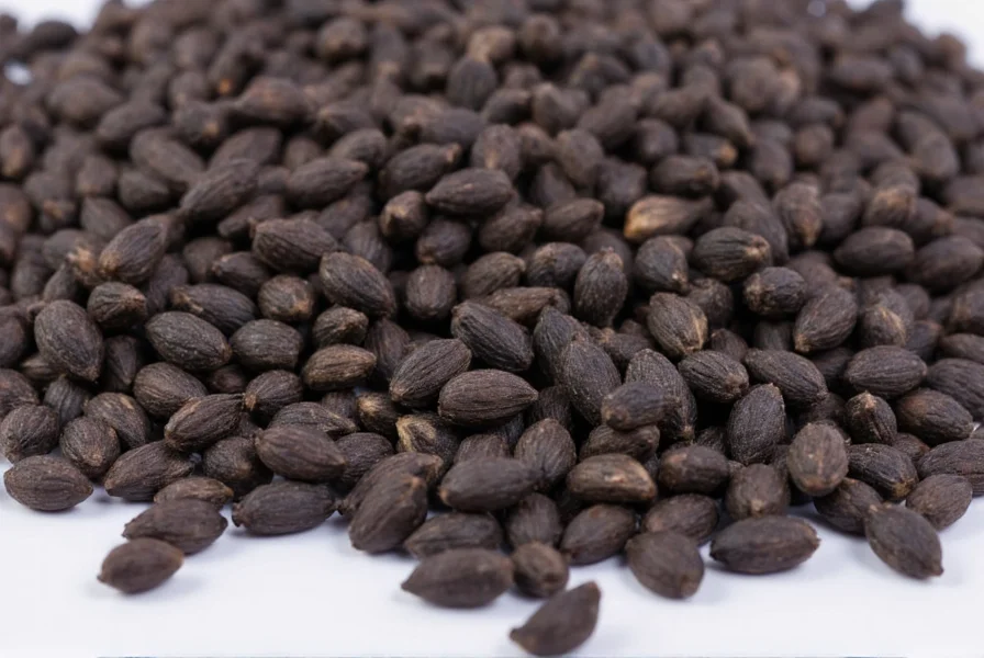 Close-up view of Nigella sativa seeds showing their matte black color and irregular shape compared to regular cumin seeds