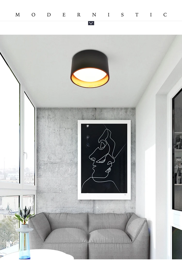 Metal living room indoor 120V Nordic LED downlight surface mounted/concealed ceiling light