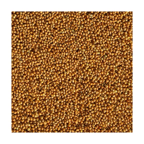 
Russian Hirse / Miglio / Mijo / Red / Yellow Millet Grains 