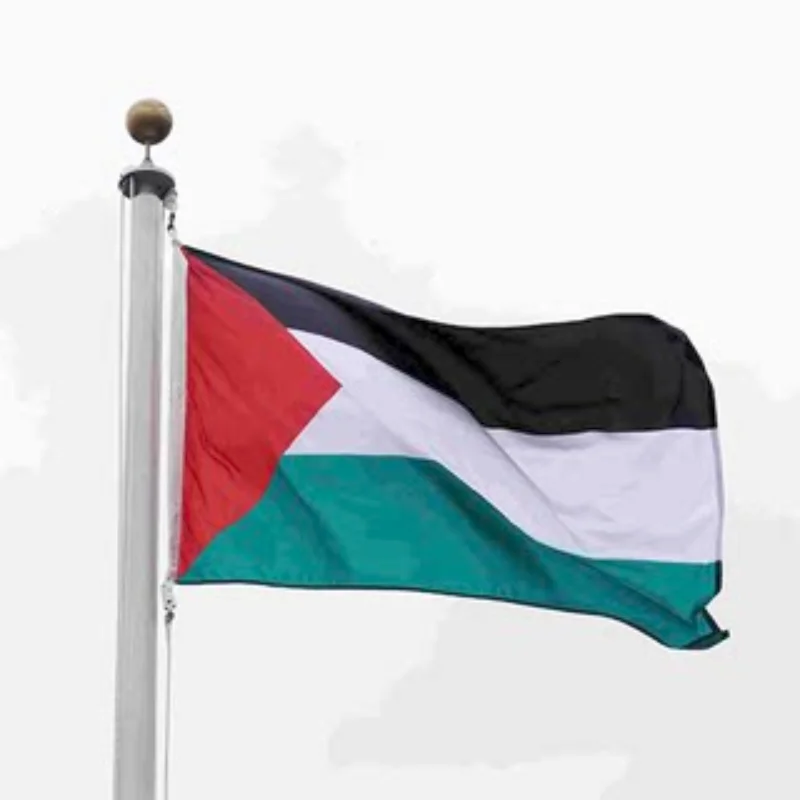 

Wholesale World Palestine National Flag 90x150cm 3x5ft 100% Polyester Palestine Flag National Country Flag