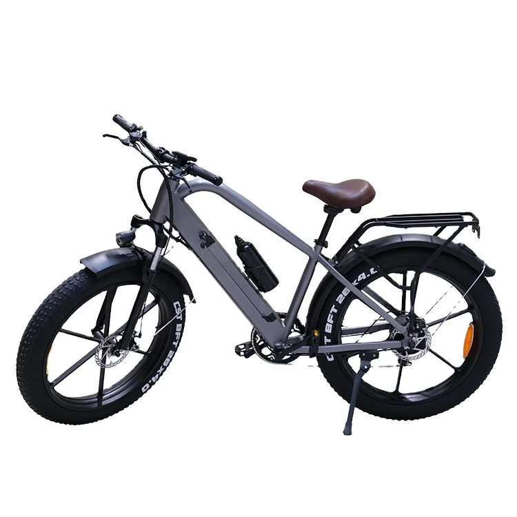 

48V 10Ah Factory Directly e-bicycle 6 Speed Aluminum Alloy 26 Inch City Mountain Road Fat Tire Electric Bike, Grey