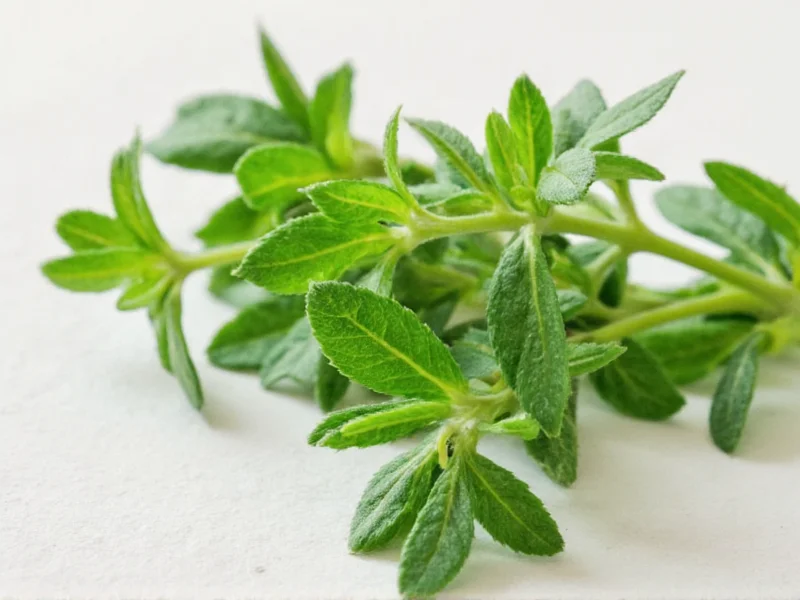 Best Substitutes for Thyme Leaves in Cooking