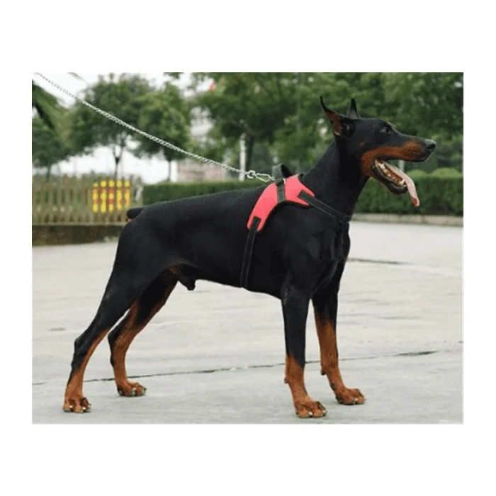 

Manufacturer Wholesale Reflective Breathable Explosion-proof Big Pet Dog Harness, Black,red,blue,camouflage